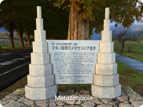 1128-11